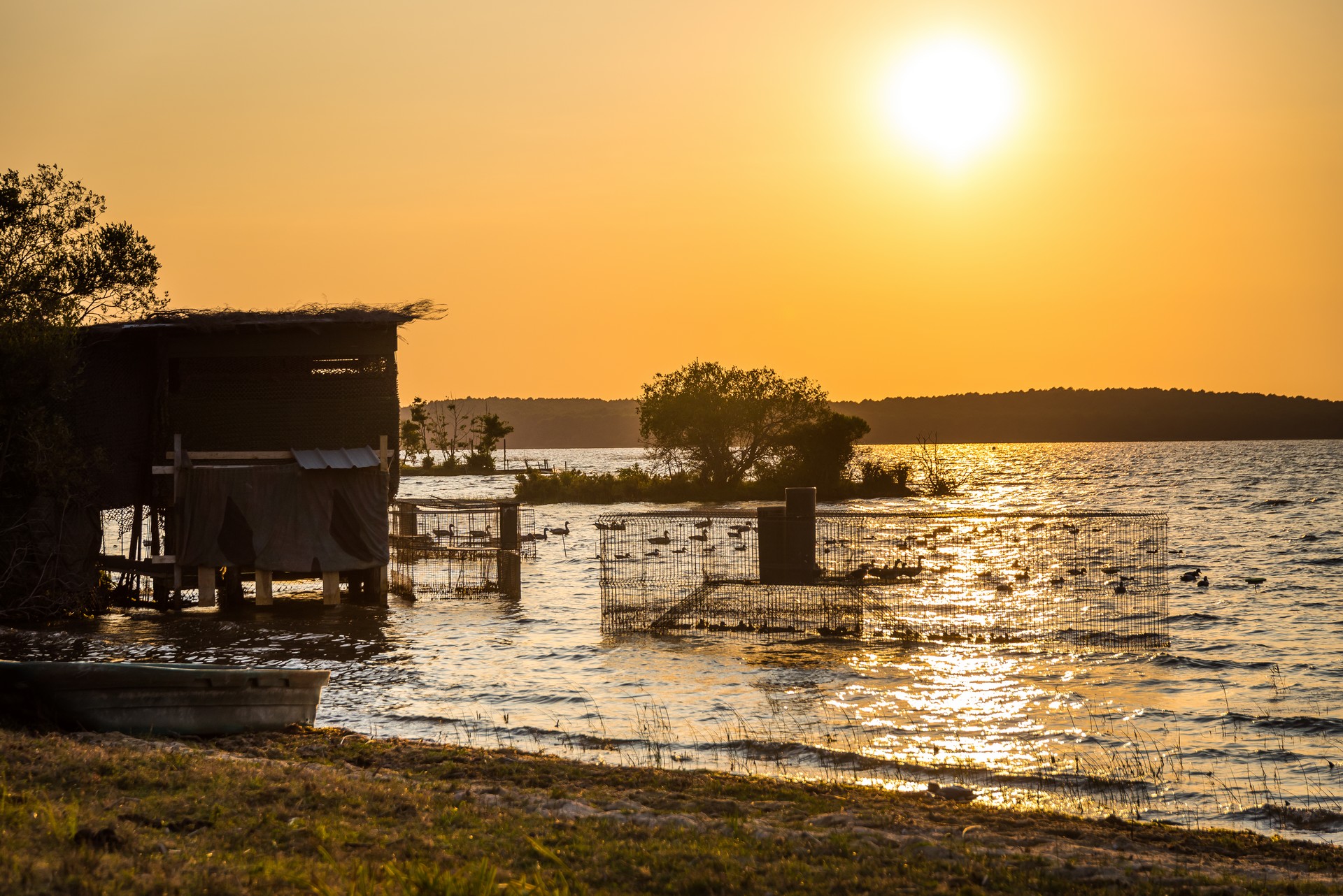 Découverte des prairies au bord du lac de Sanguinet, Sanguinet - photo 10