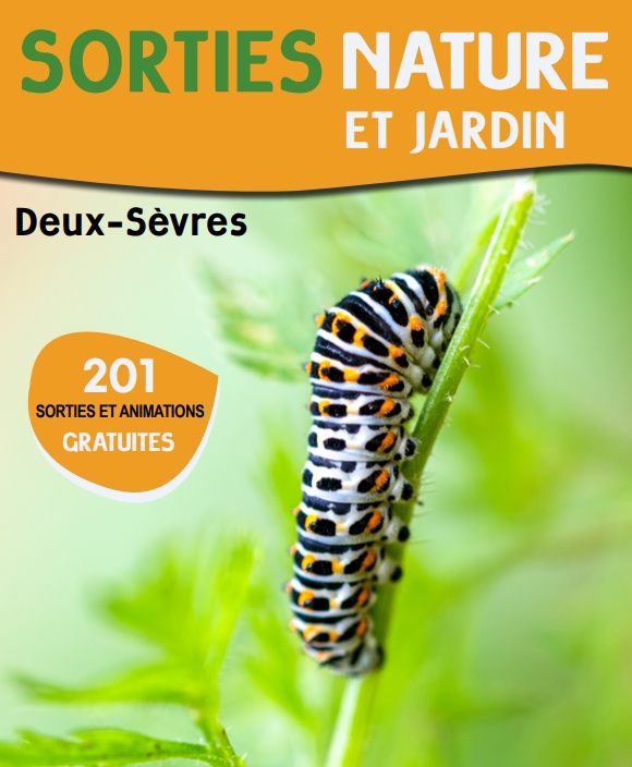 Sortie nature - Qui vole la nuit sur l'Argenton