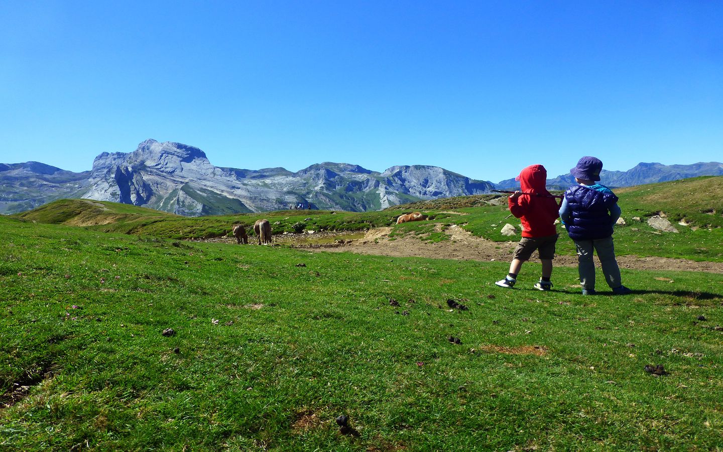 Boucle Soum de Grum en Marche Nordique, Béost - photo 4