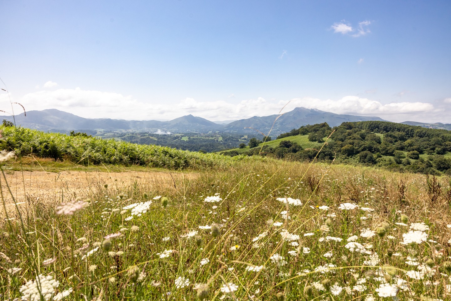 GRP® Tour du Labourd - Lapurdiko itzulia - De Pinodieta à Cambo-les-Bains, Souraïde - photo 4