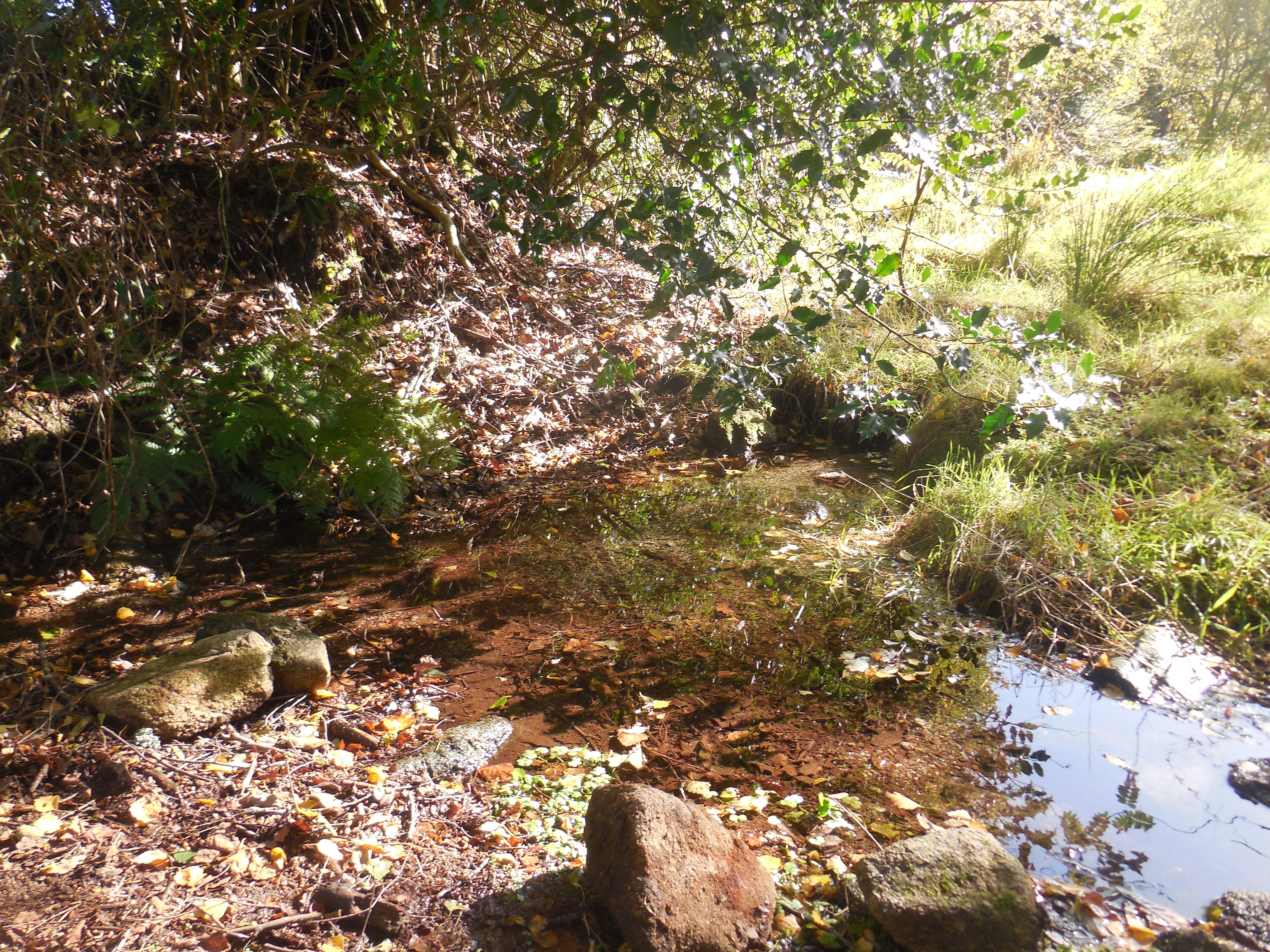 Le Puy de l'Aiguille - 10 km, Féniers