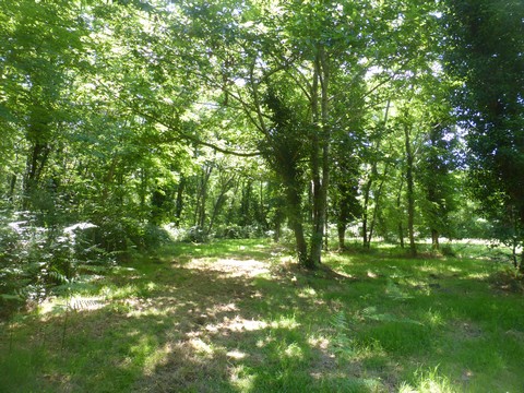 Zone sensible Sabaille - photo 2