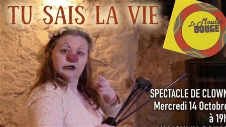 Spectacle de clown : Tu sais la vie