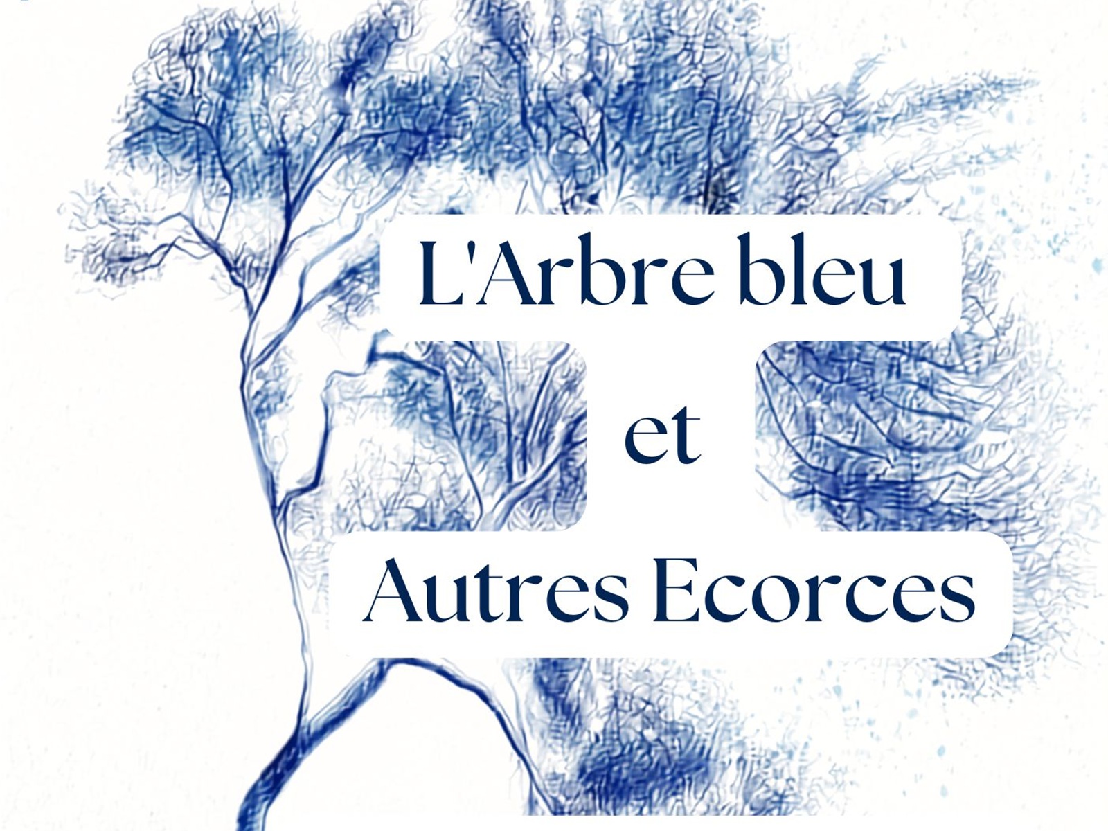 Spectacle "l'Arbre Bleu et autres écorces"