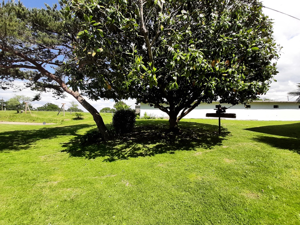 L'Horizon des Landes, Doazit - photo 12