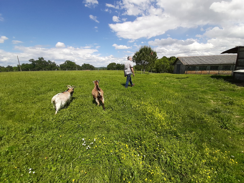 L'Horizon des Landes, Doazit - photo 15
