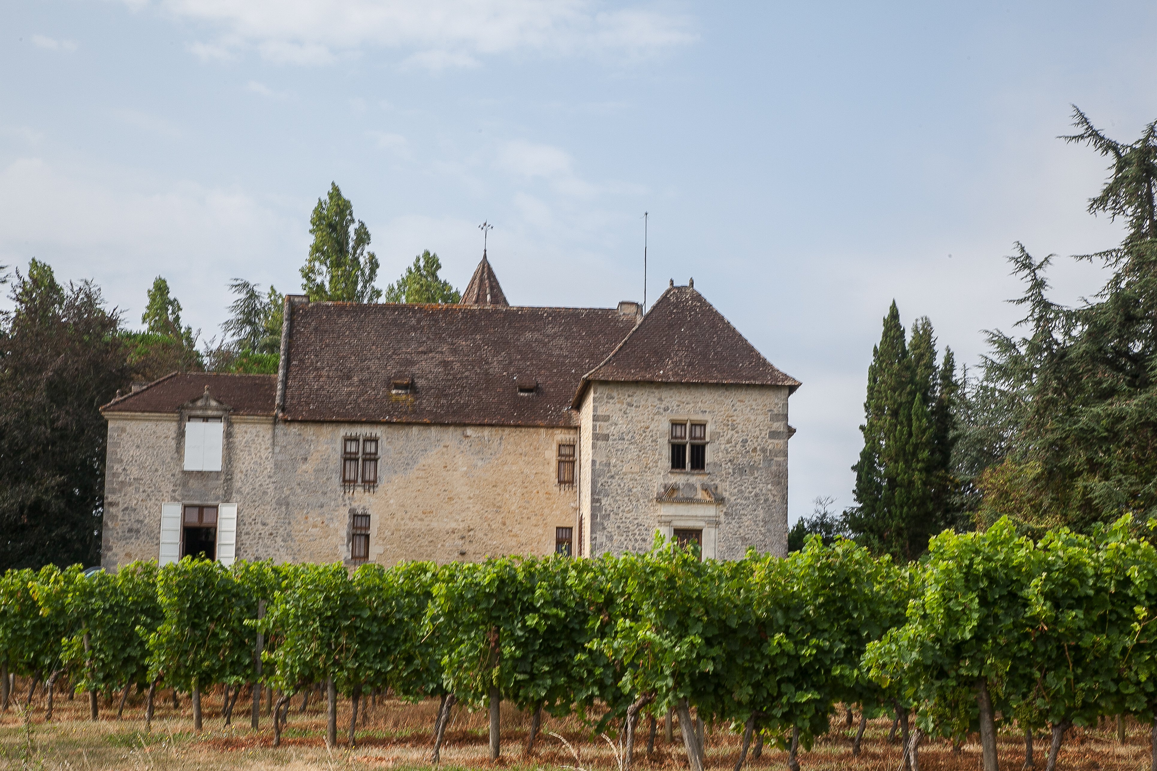 Boucle bleue de Saint-Aubin-de-Branne - photo 3