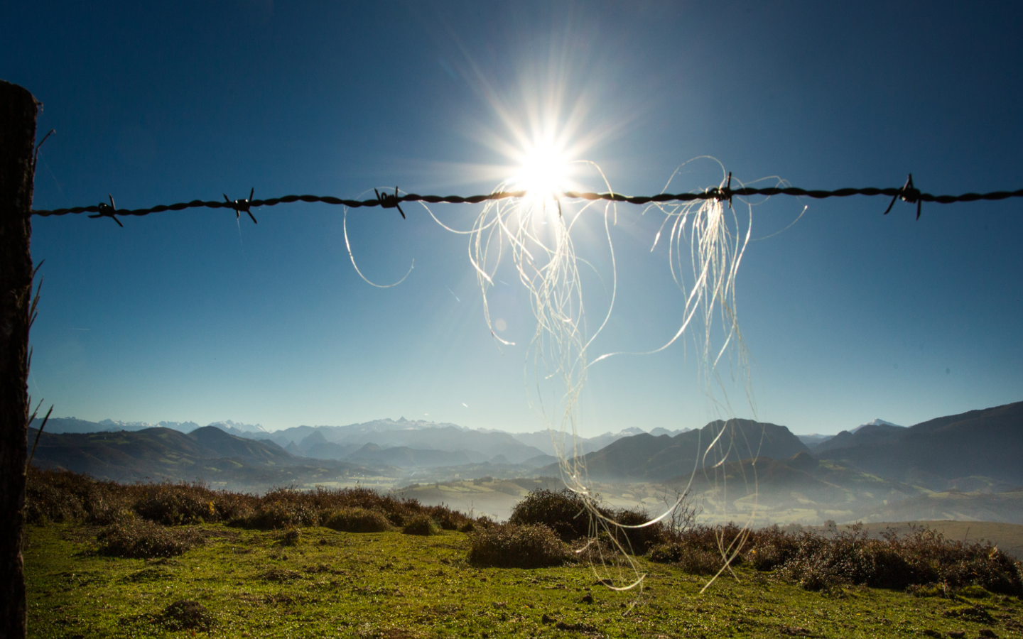 Chapelle Saint-Grégoire : panorama, Ordiarp - photo 3