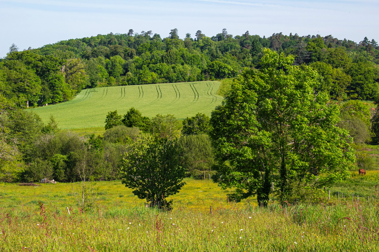Sentier des carrières, Saint-Jouvent - photo 3