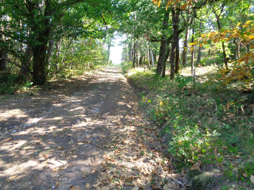 Entre Maumont et Sourdoire - VTT — photo 3