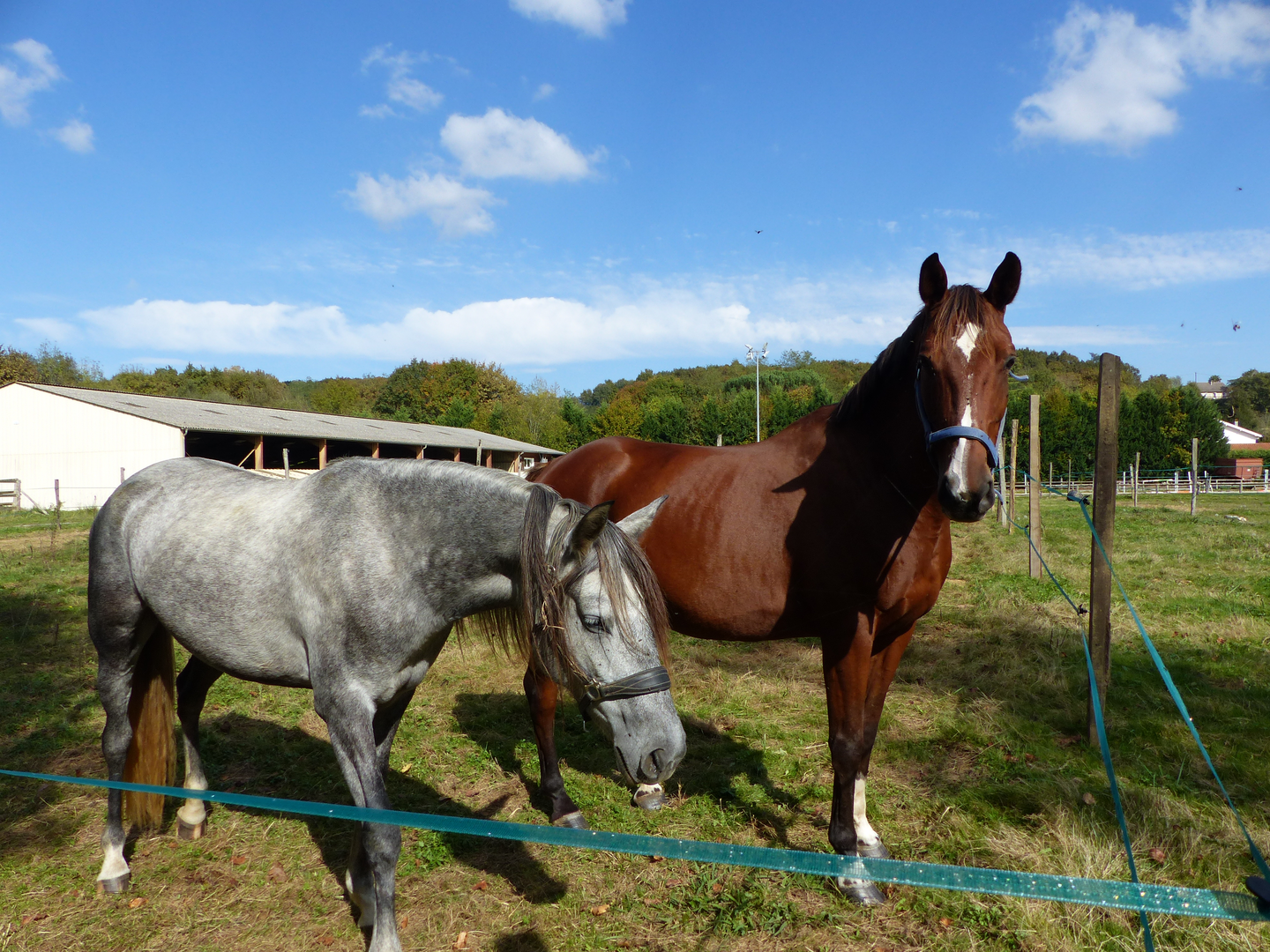 Les écuries de Lik - photo 2