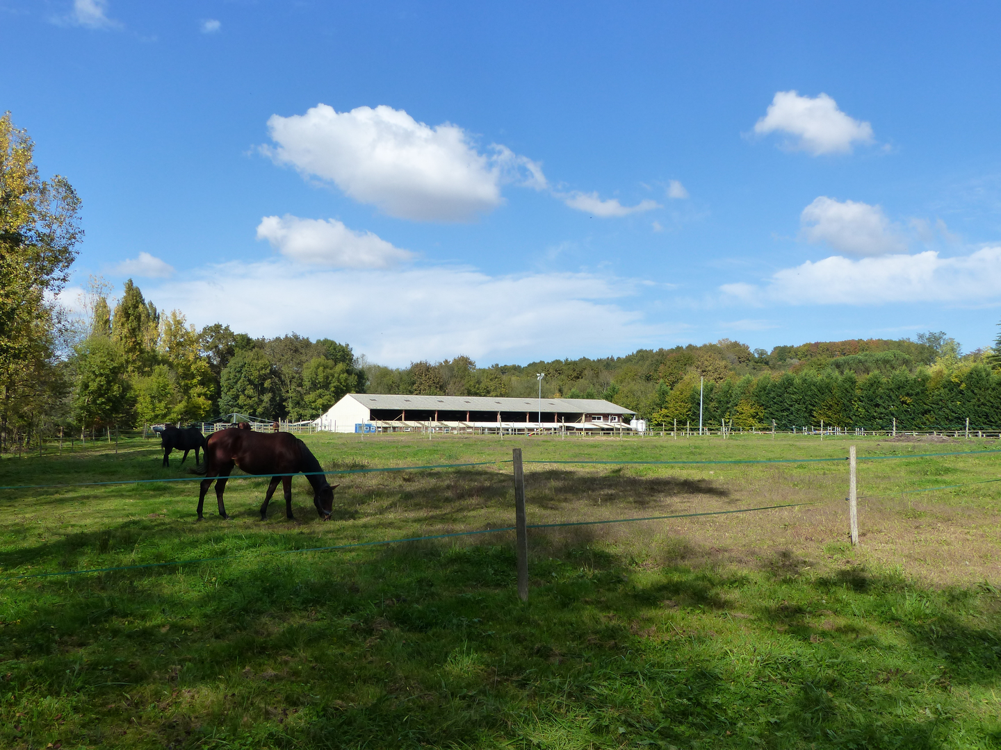 Les écuries de Lik - photo 4