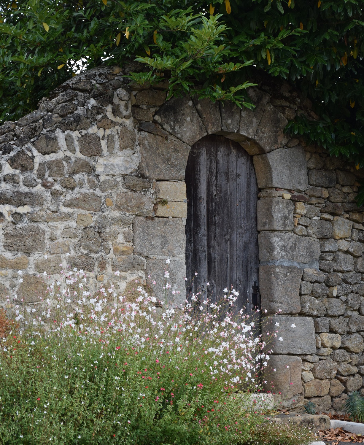 Grande boucle de Saint Martin de Fressengeas, Saint-Martin-de-Fressengeas - photo 3