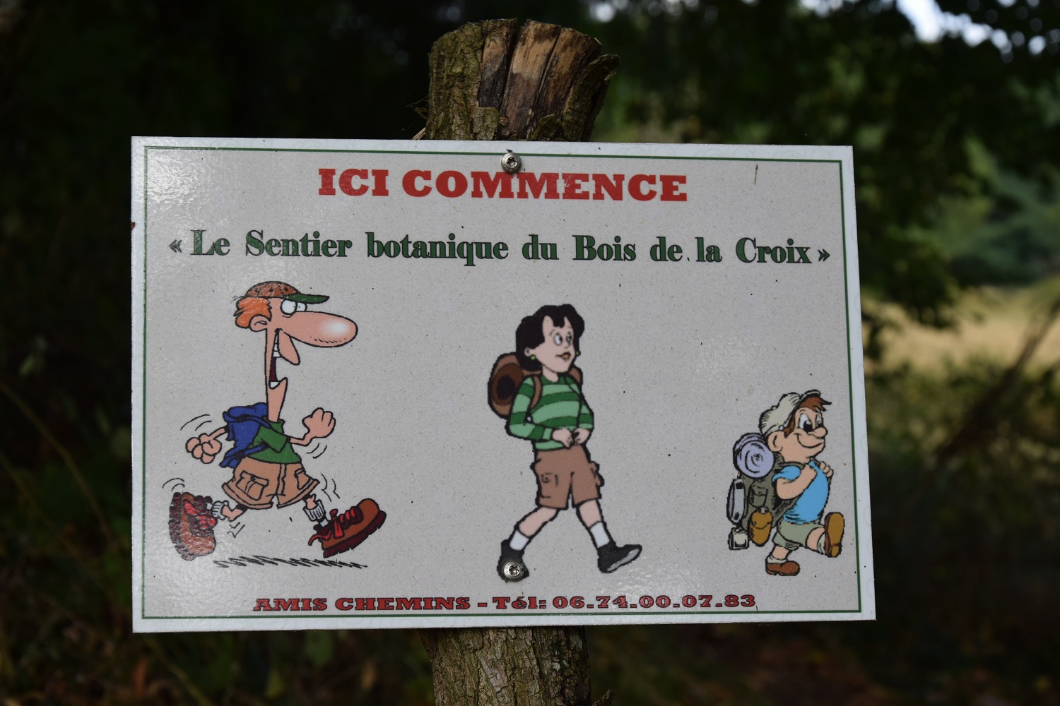 Sentier Botanique, Saint-Martin-de-Fressengeas - photo 3