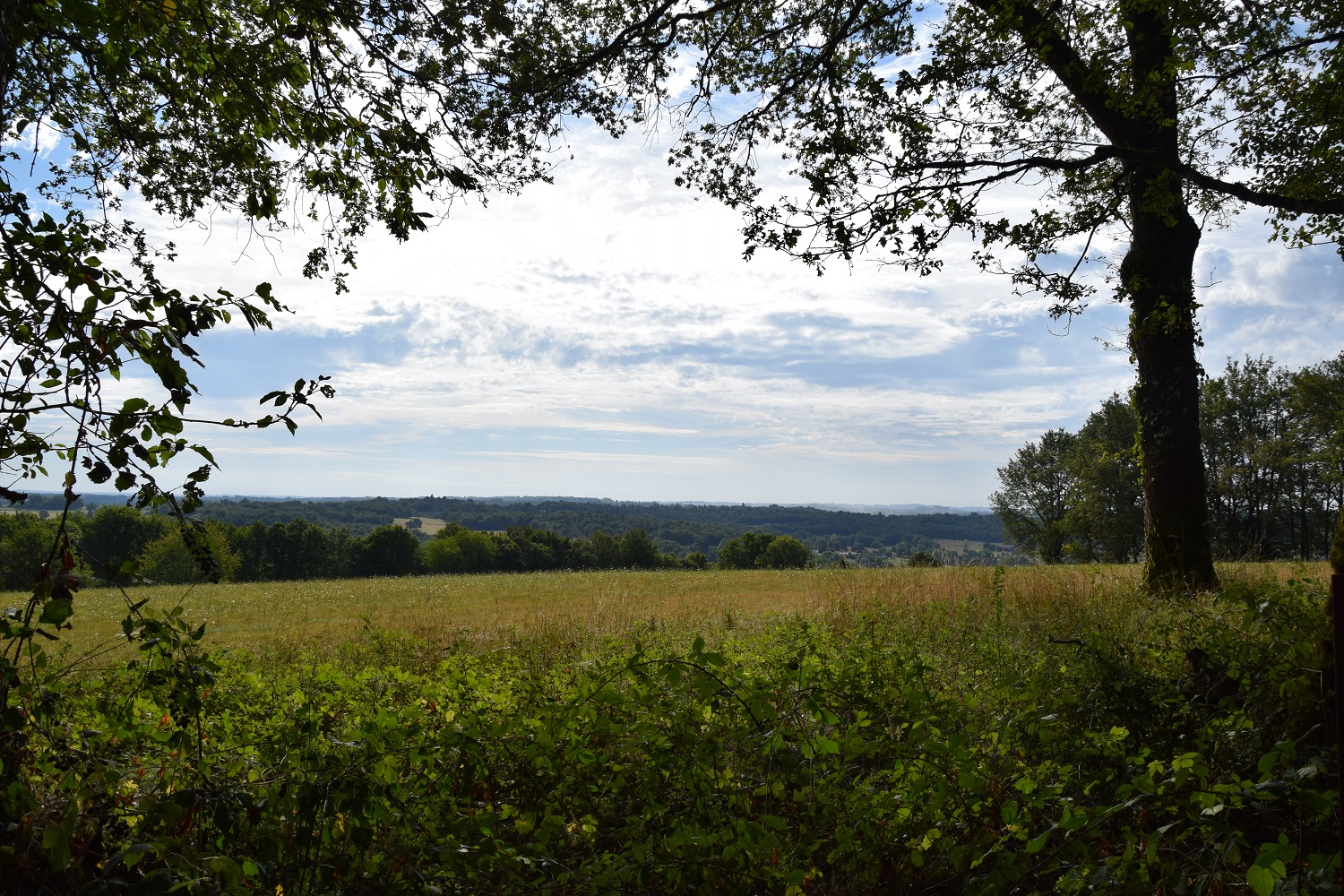 Grande boucle de Saint Martin de Fressengeas, Saint-Martin-de-Fressengeas - photo 4