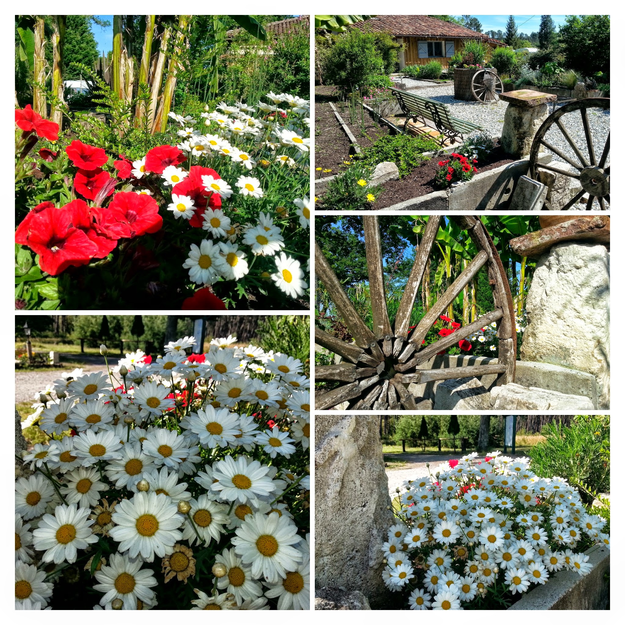 Camping Domaine du Cayre - photo 2