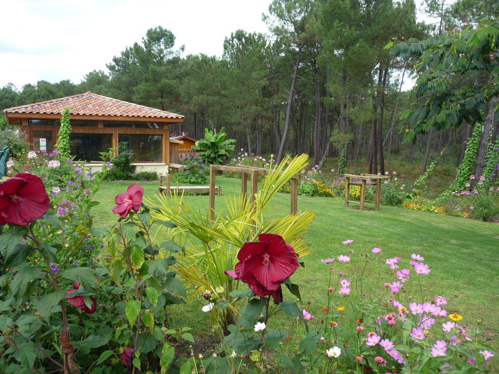 Camping Landes Océanes - photo 4