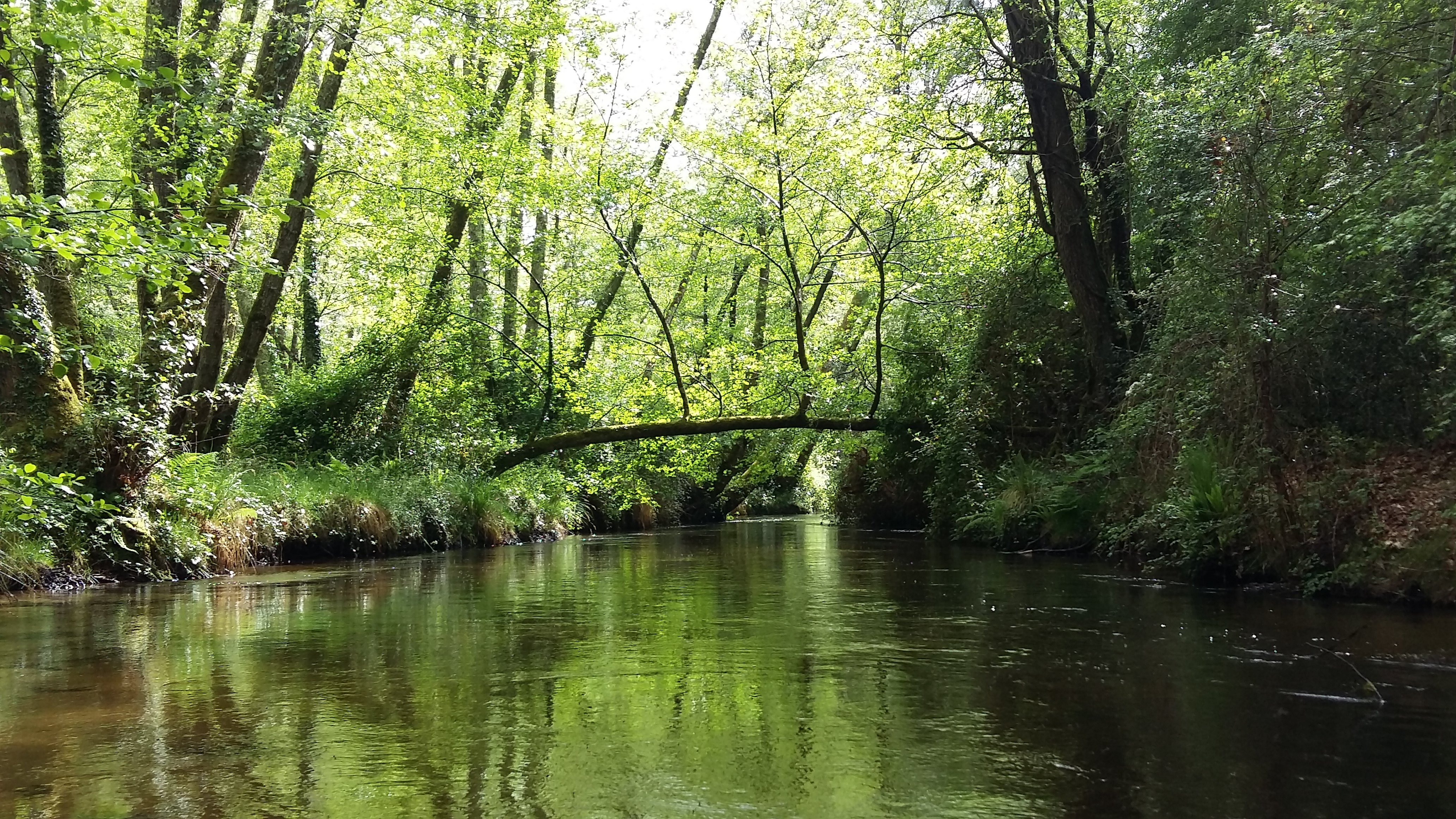 Canoë Land - photo 2