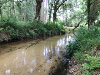 Camping Coudas, Saint-Michel-Escalus - photo 6
