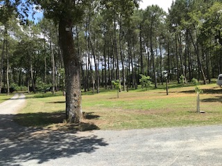 Inda Martine - photo 5