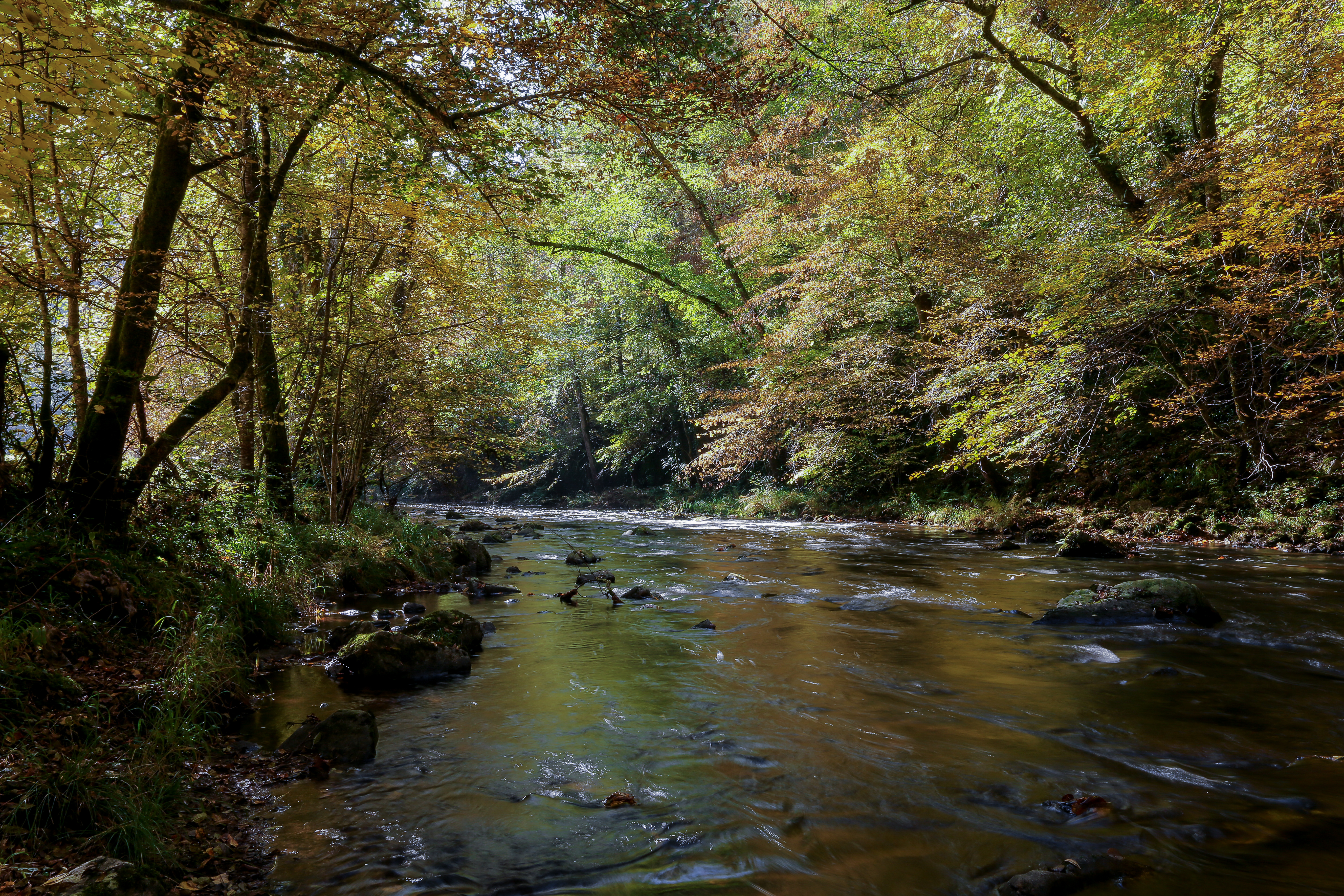 Job, aux portes de la Luzège