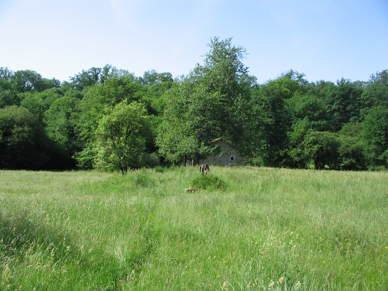Boucle de l'Abbaye - sentier historique
