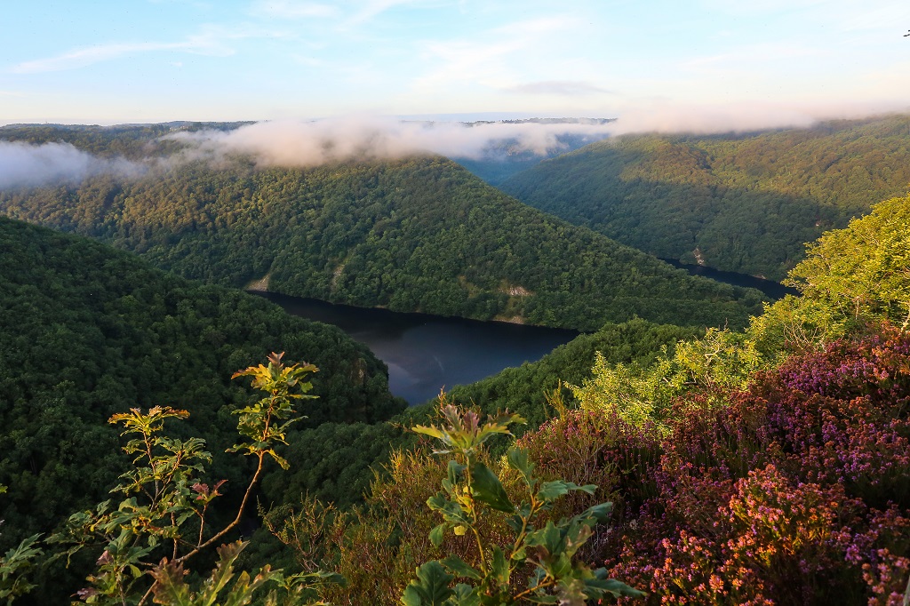 Circuit 25 - Les Ruisseaux des Gorges de la Dordogne, Saint-Merd-de-Lapleau - photo 2