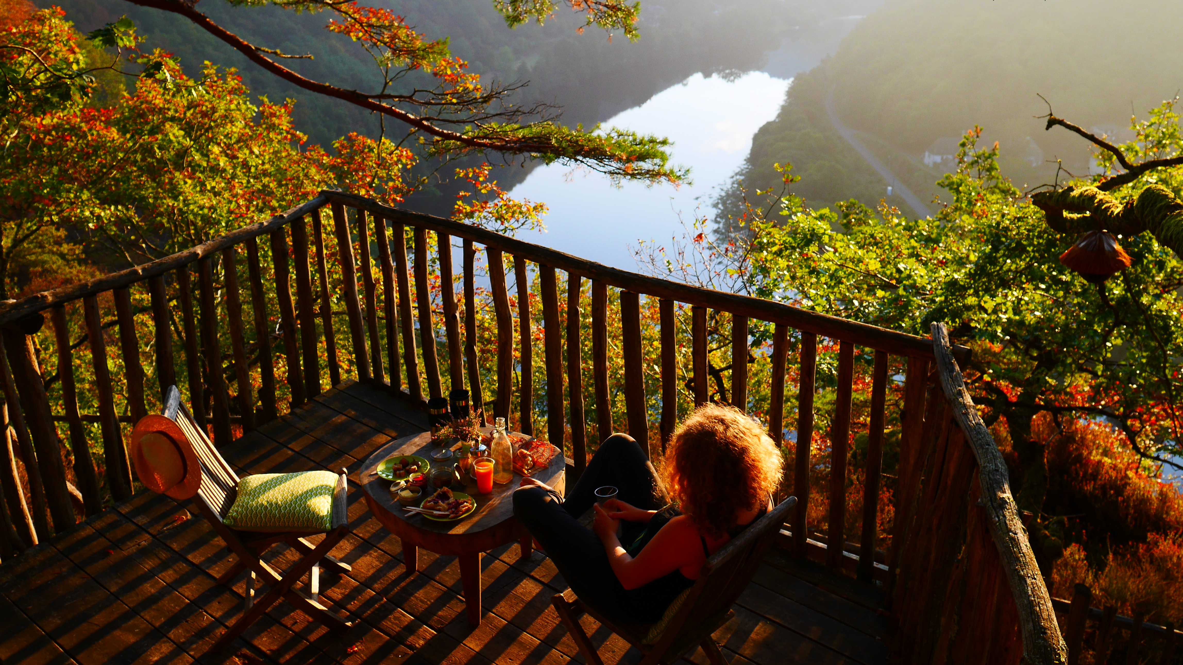 Hêtre sous le Charme