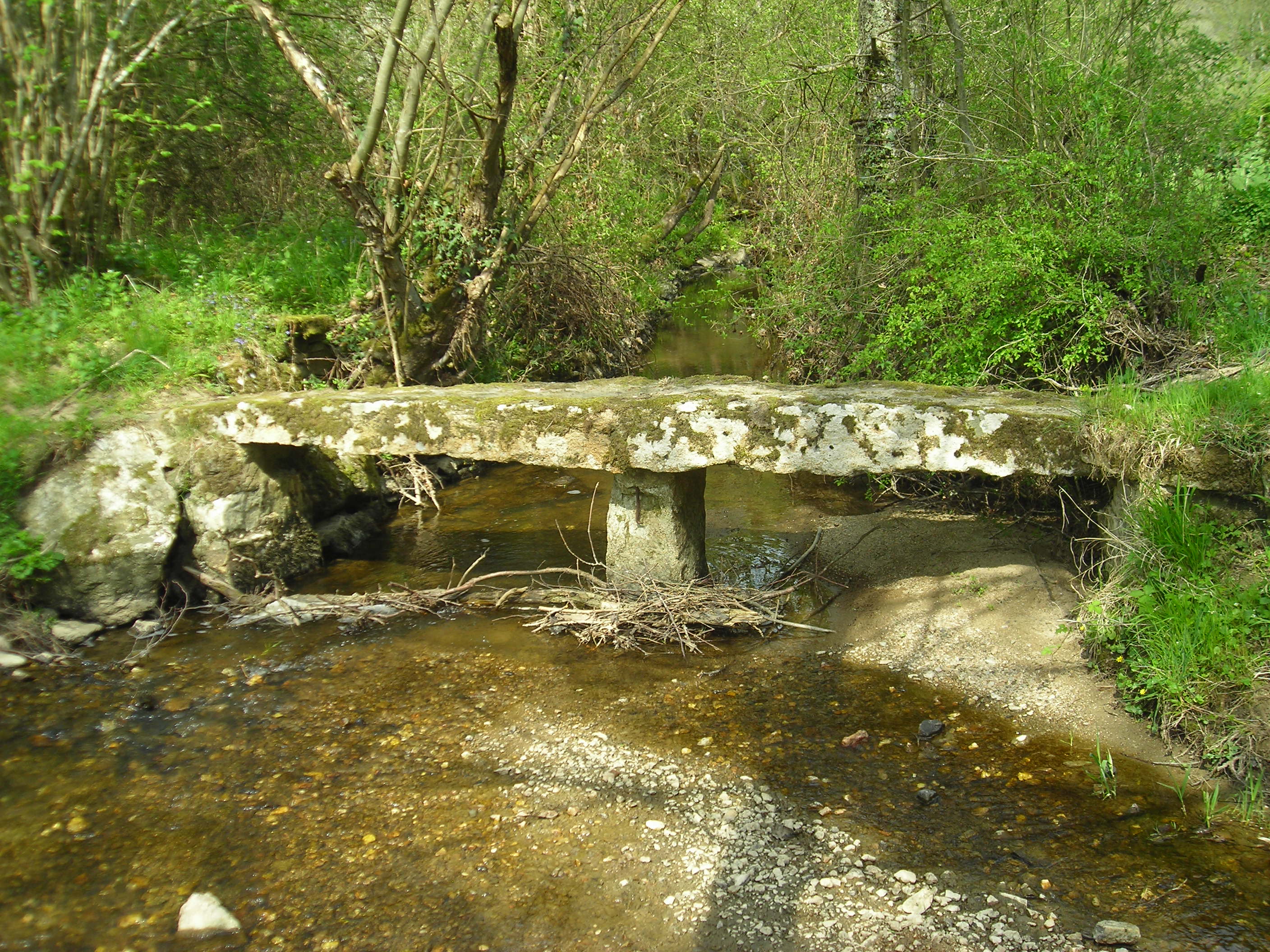 Circuit pédestre : La Croix de Ligne, Saint-Dizier-les-Domaines - photo 3