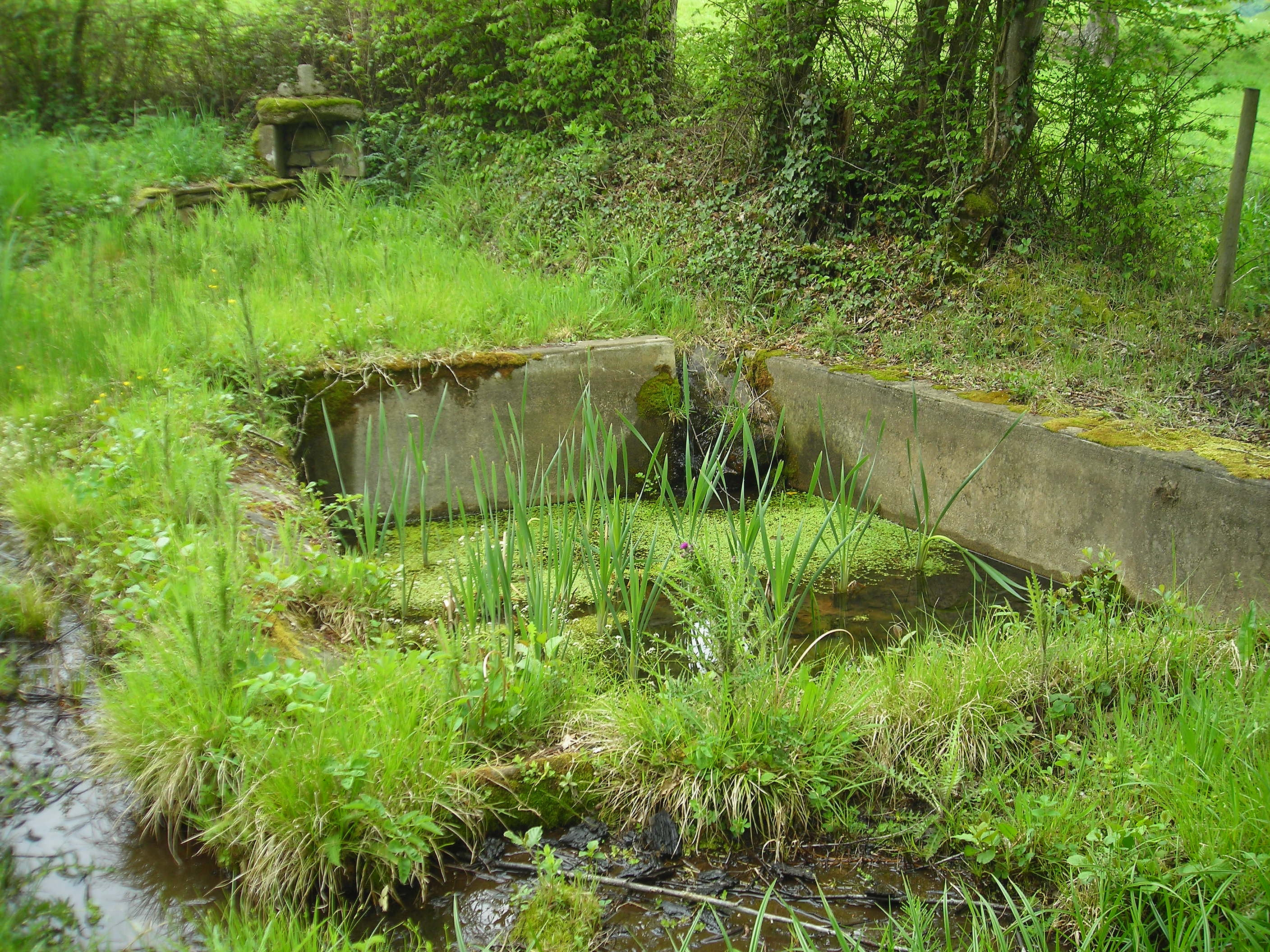La Fontaine de Pralou, Saint-Dizier-les-Domaines
