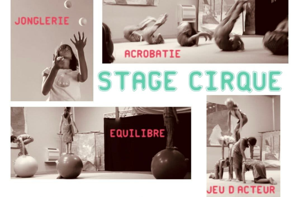 Stage de cirque