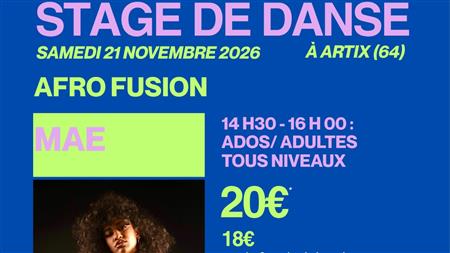 Stage de danse Afro Fusion