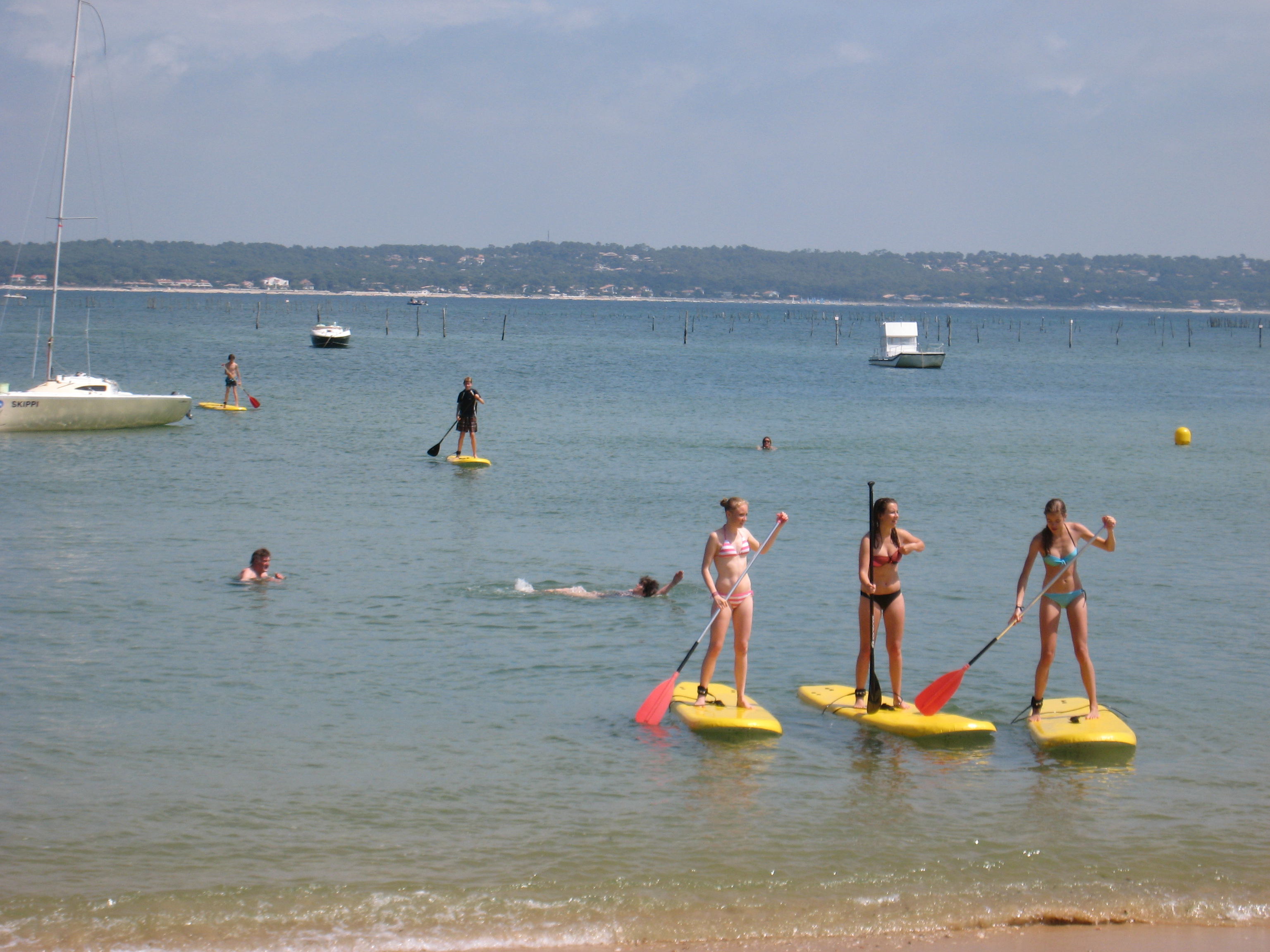 Paddle Cap Ferret
