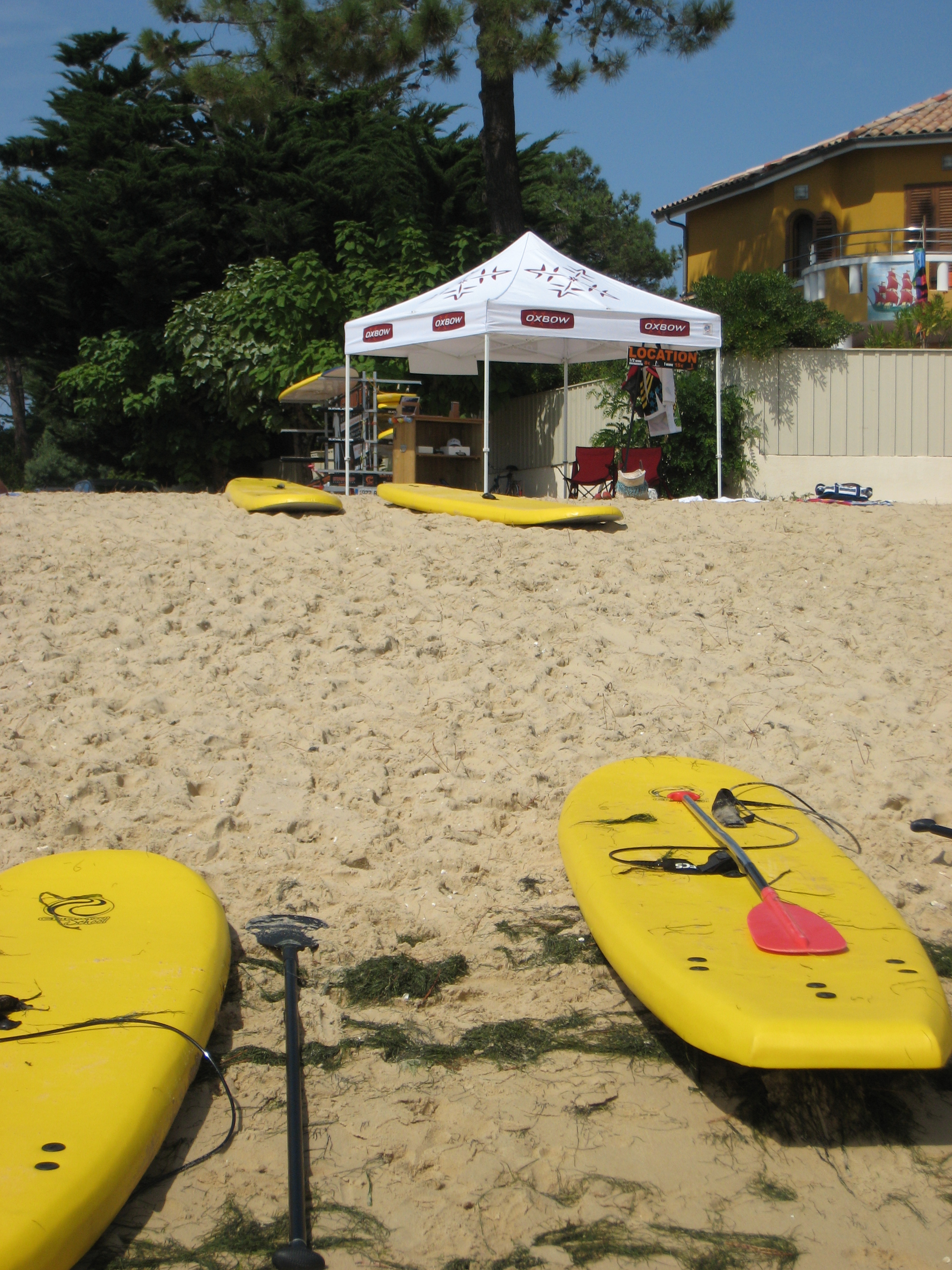 Paddle Cap Ferret — photo 3