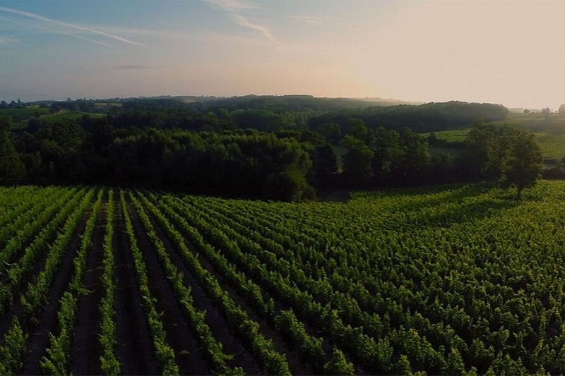 Château Sainte-Marie - photo 3