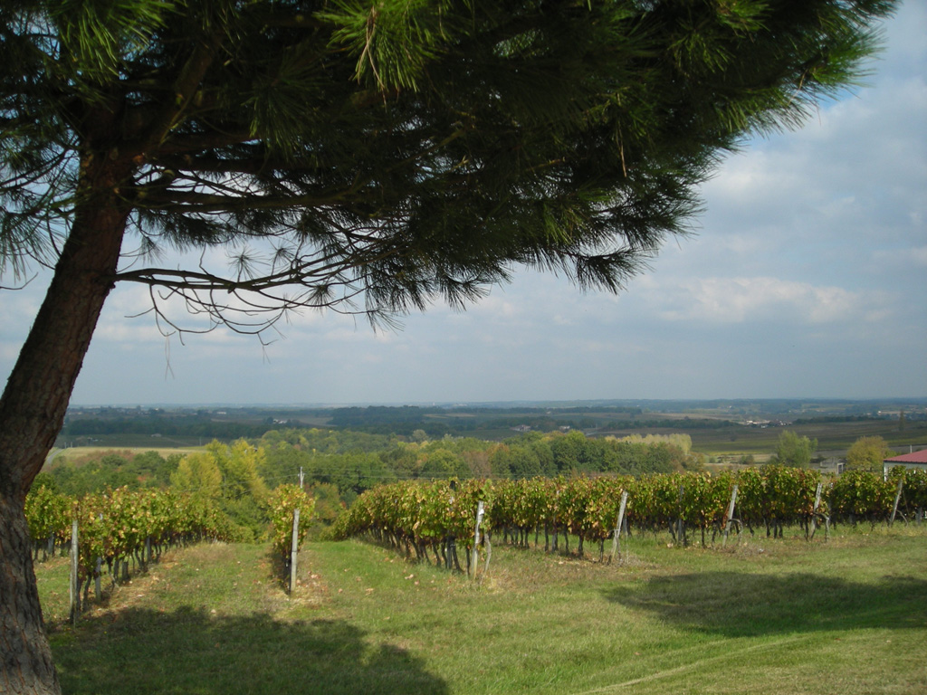 Boucle vélo n°09 Saint-Martin-de-Sescas - Sainte-Foy la Longue, Caudrot