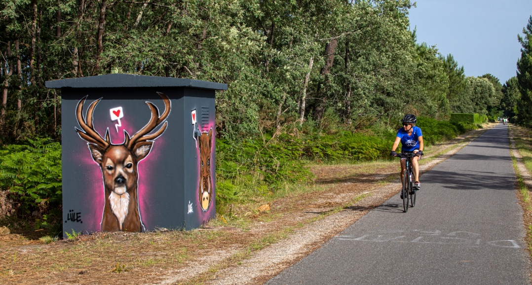 Terra Aventura : "Court-circuit dans ta street" - photo 3