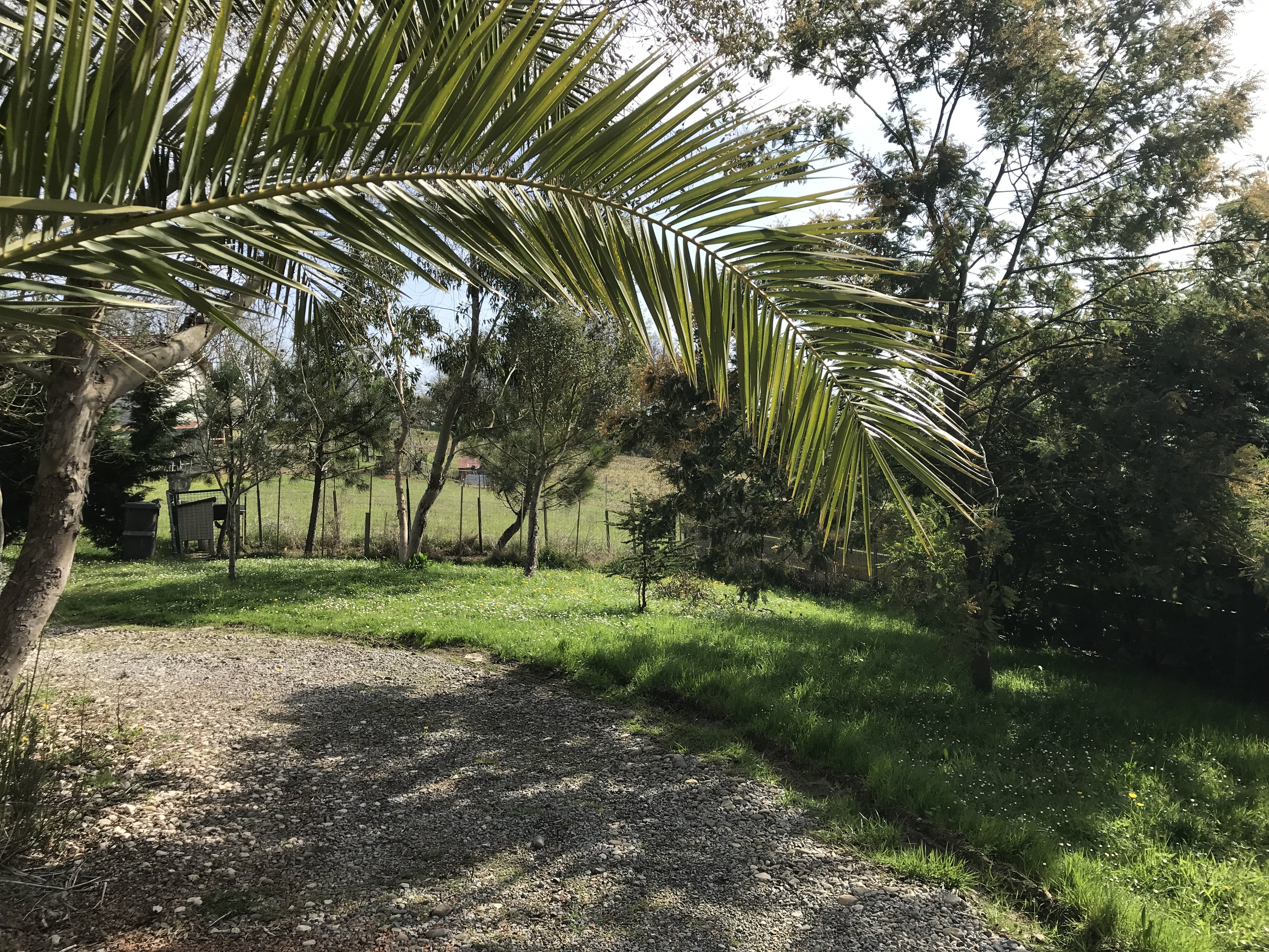 Le studio sur la colline, Cagnotte - photo 2