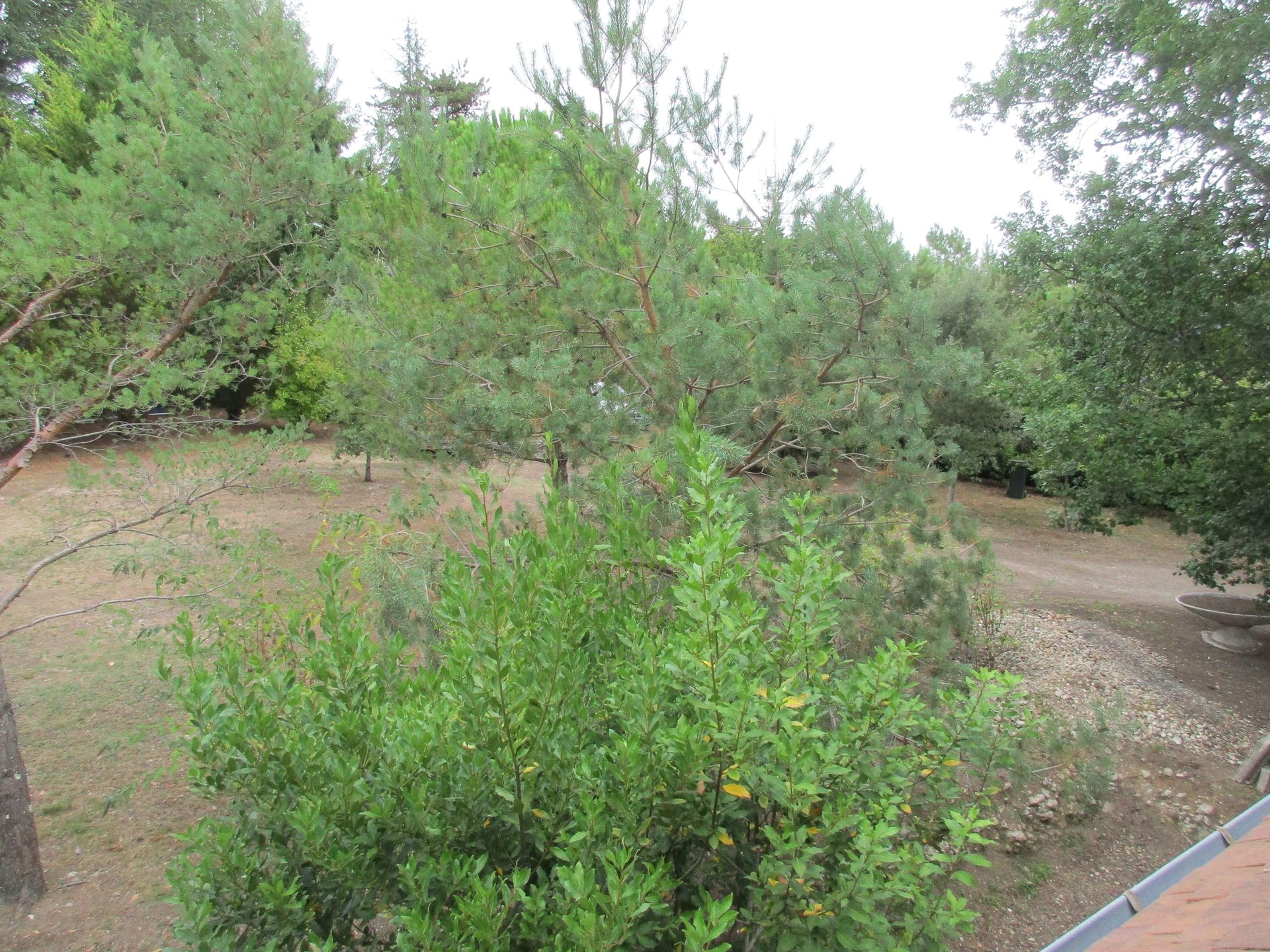 Suite Maraval, Trélissac - photo 2