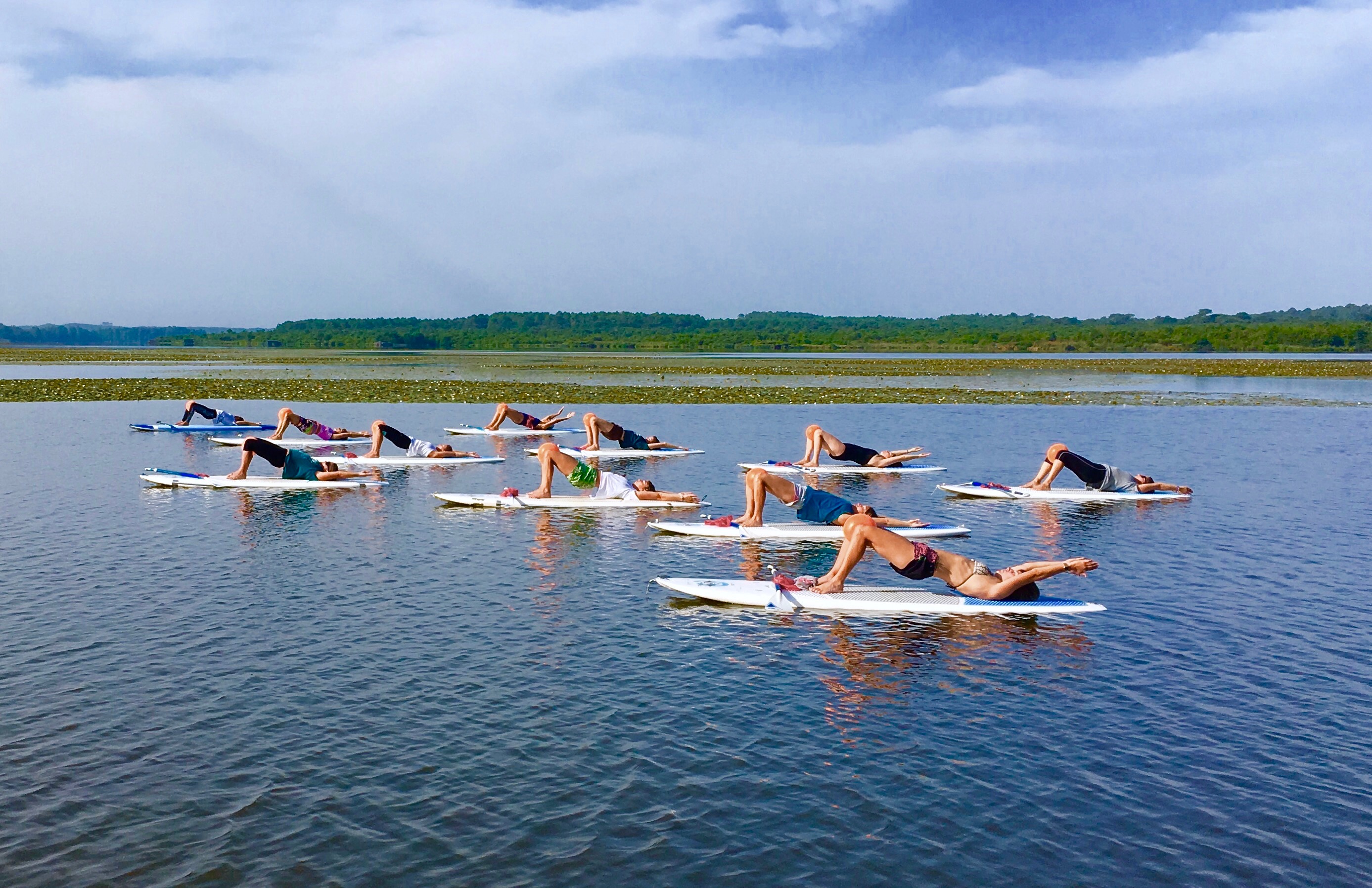 Naéco Ecole Multiglisse Surf - Waveski - Sup - Pirogue hawaïenne