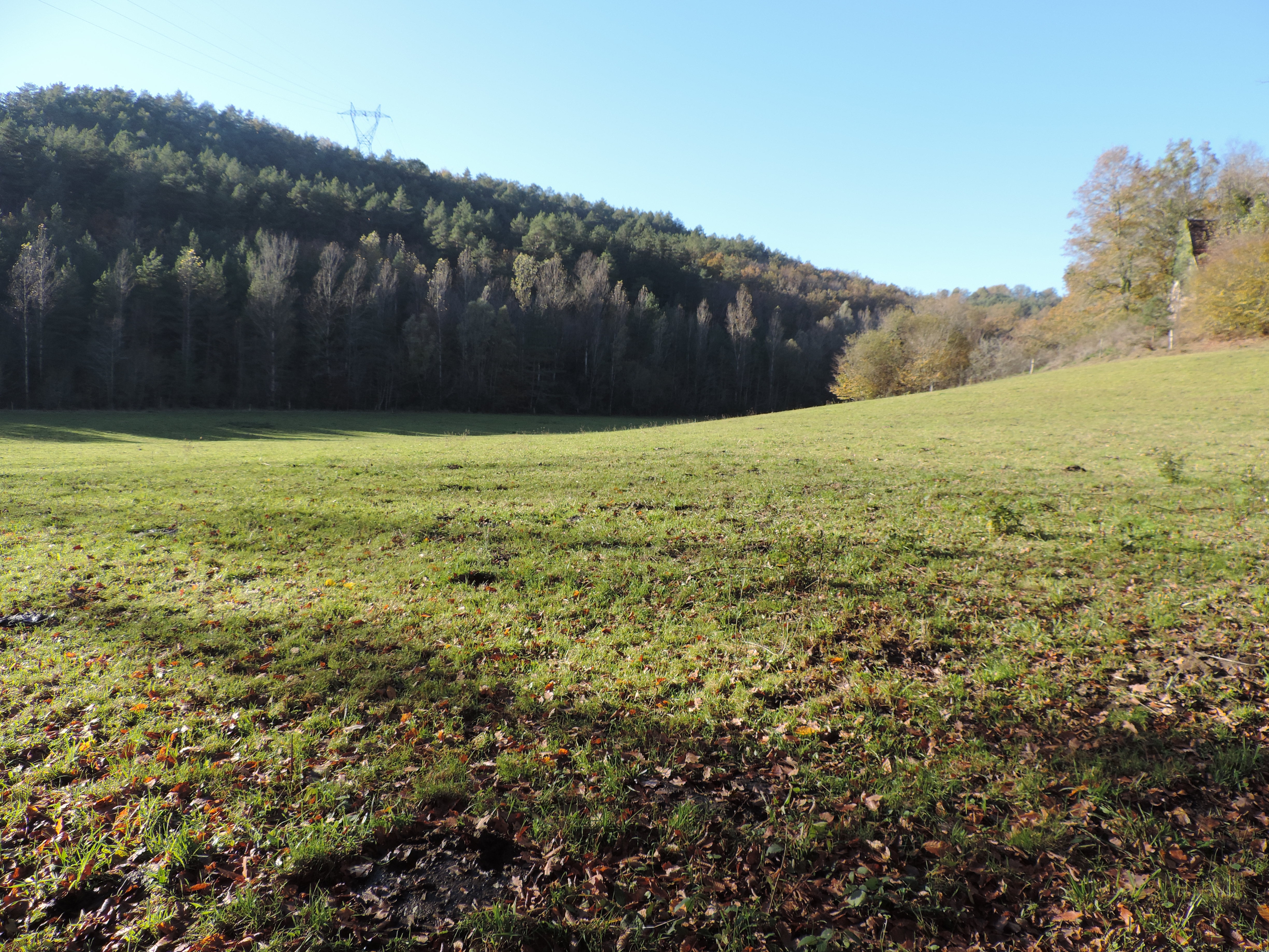 Chemin de la Queyrille, Queyssac-les-Vignes - photo 7