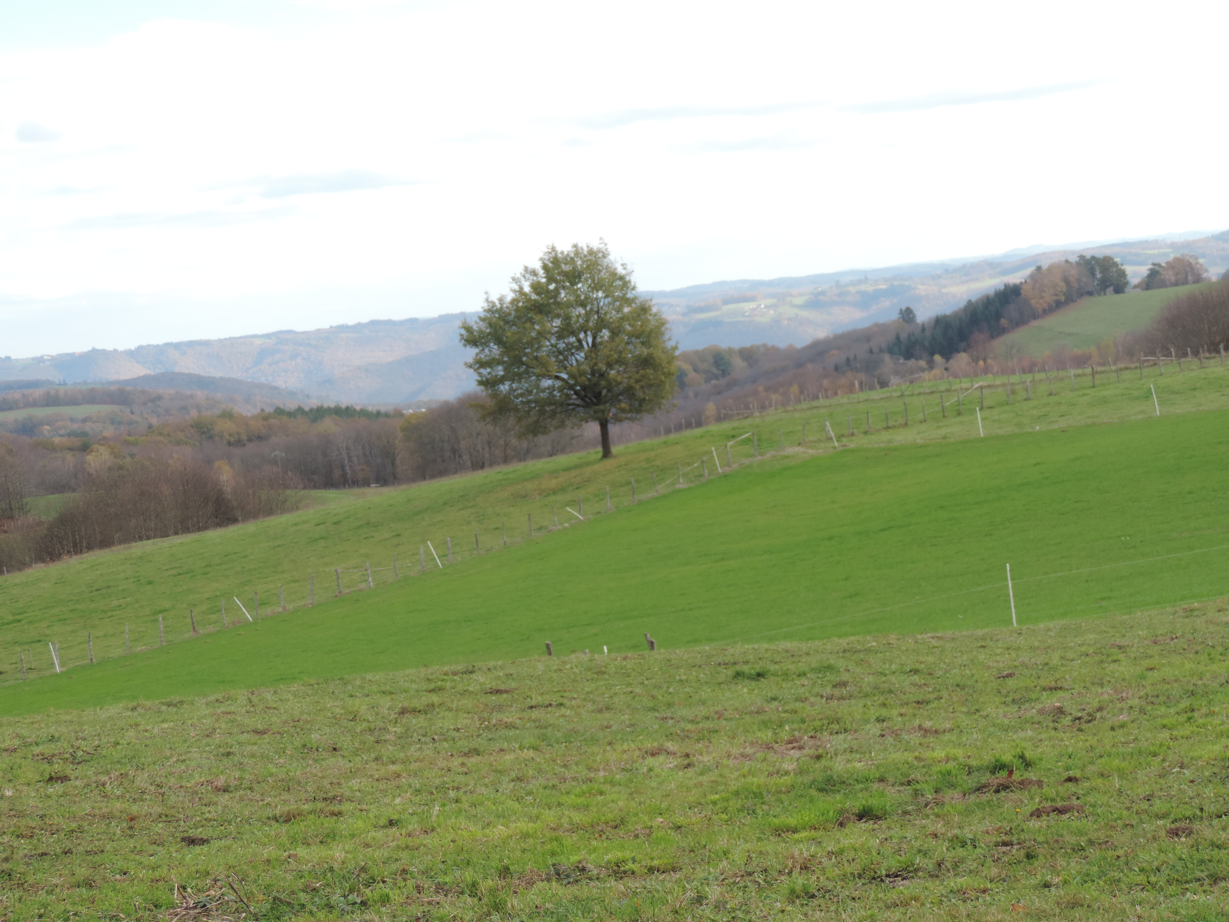 Le territoire de l'ancienne commanderie du Puy de Noix — photo 3