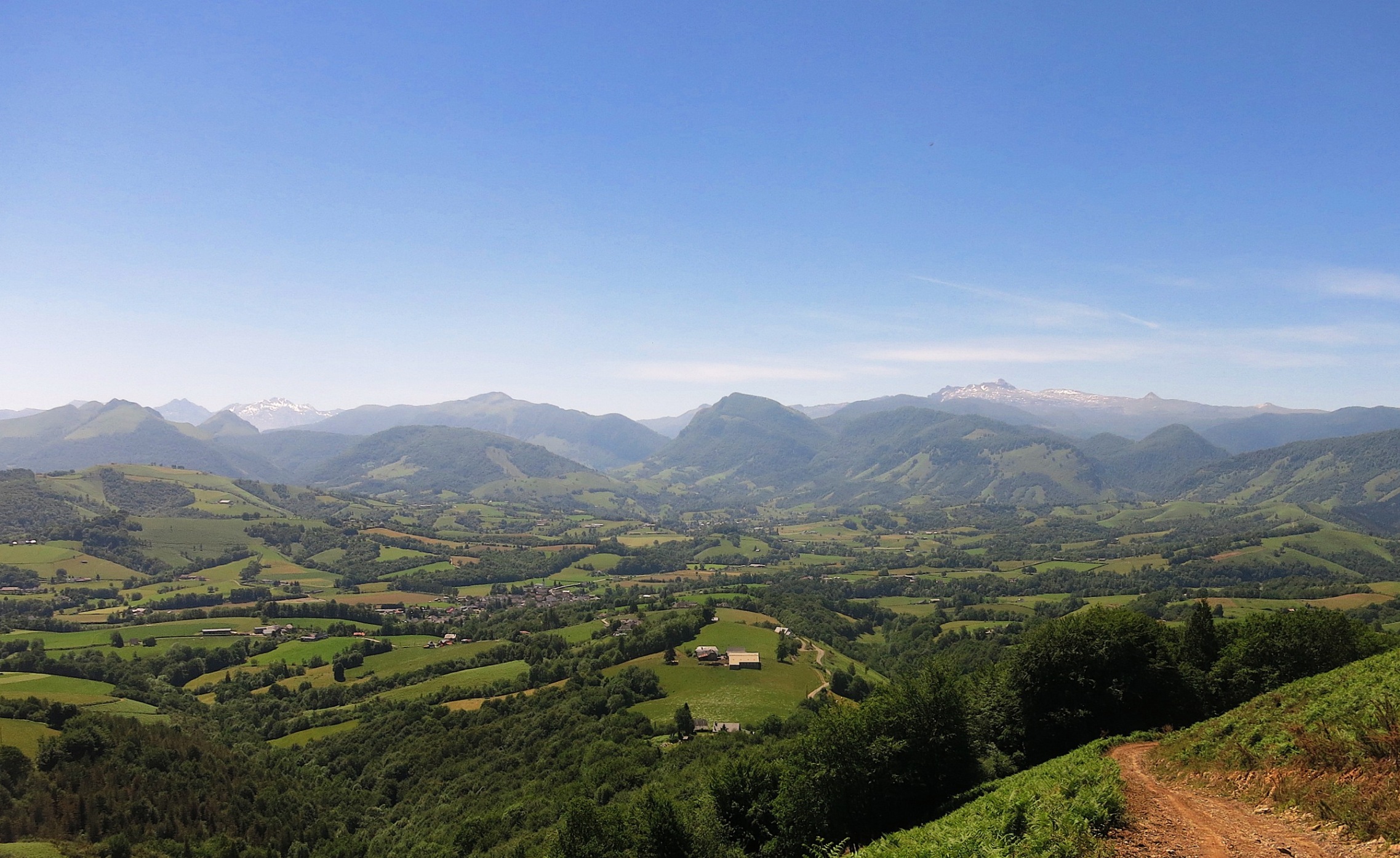 N°7 Barétous - Bois de Gouloume, Aramits - photo 10