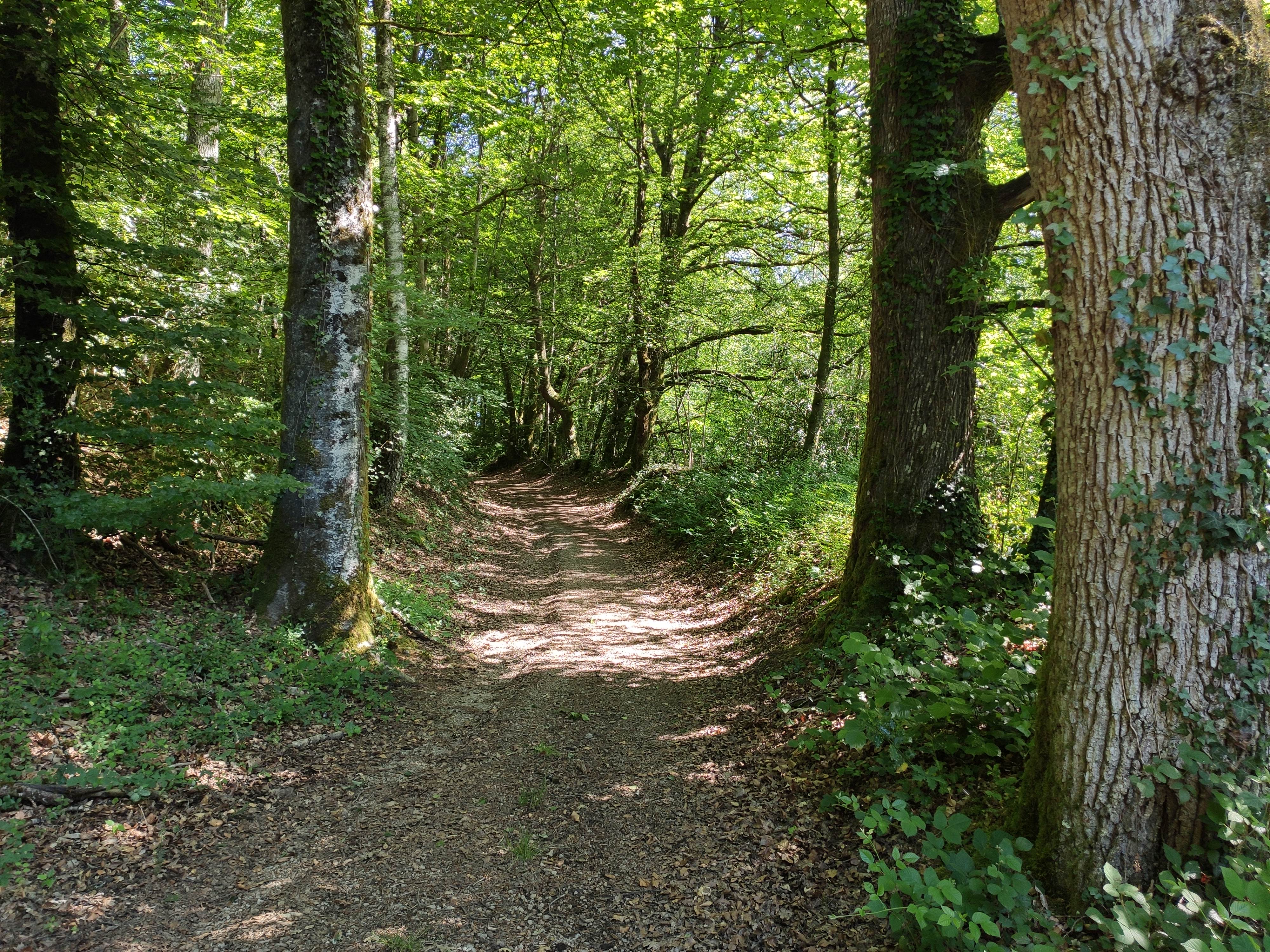 Circuit de Saint-Julien, Saint-Julien-le-Petit - photo 4