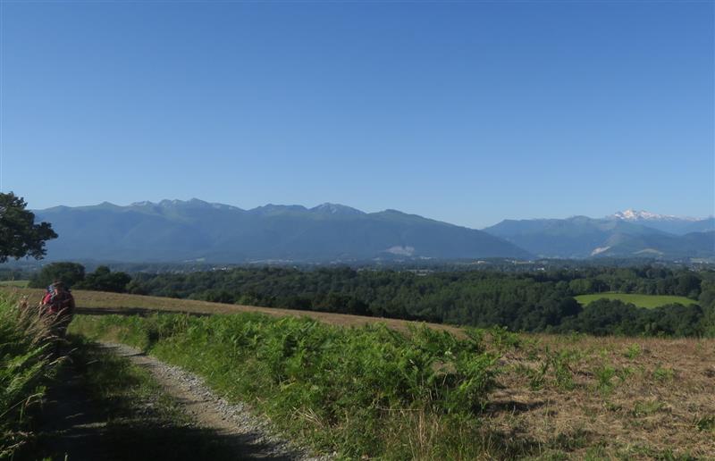 N°85 Bois de Goès-Précilhon