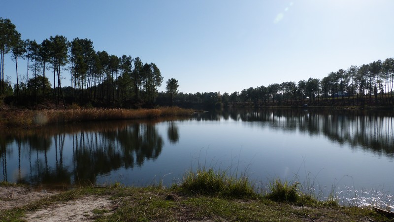 Etang de Surgenne, Mios - photo 2