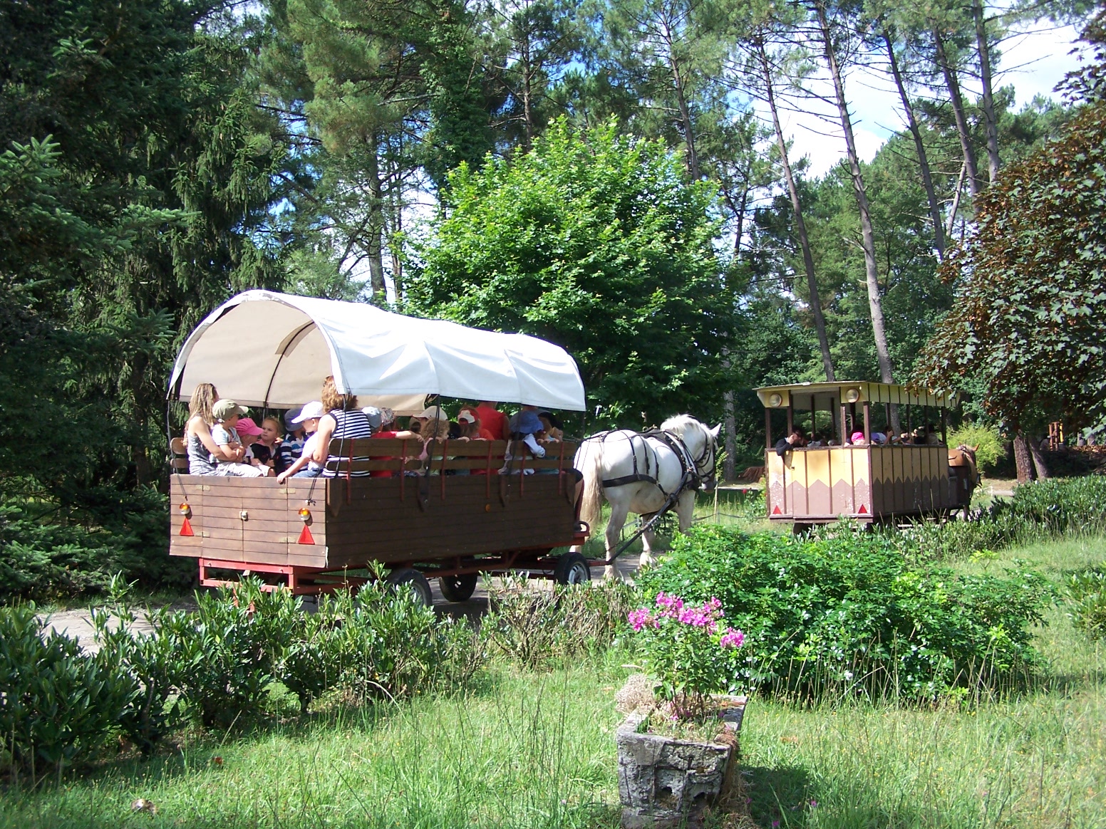 Attelage - Airial Lavigne