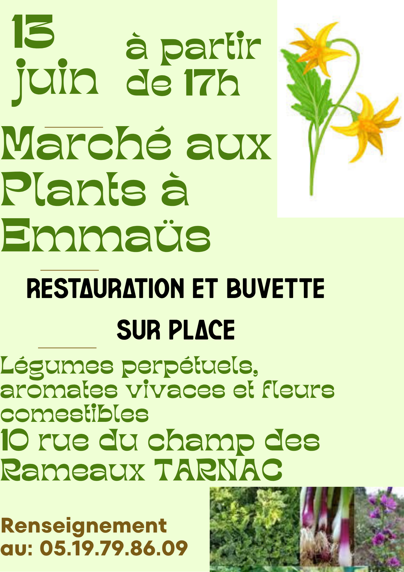 Marché aux plants à l'Emmaüs montagne limousine