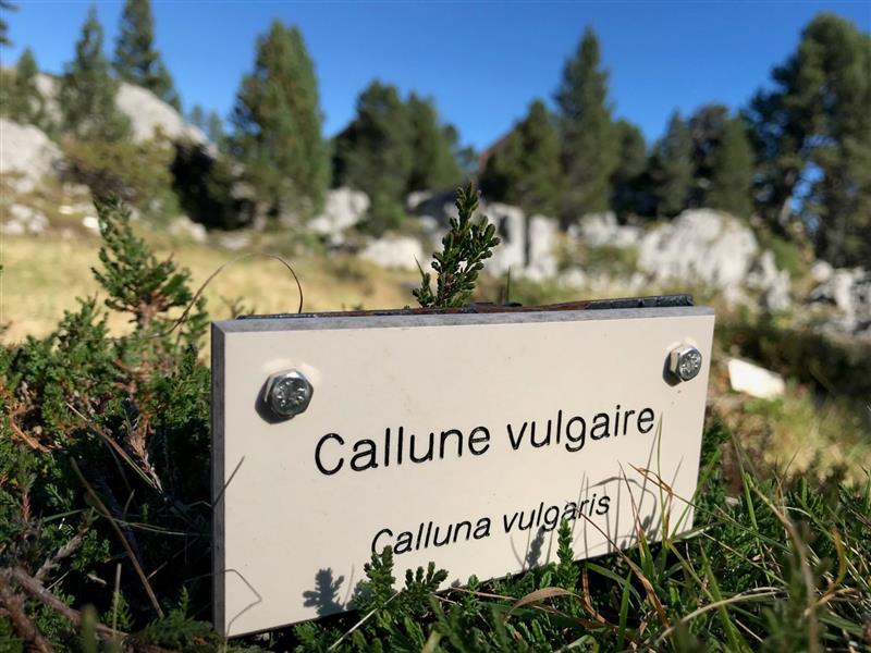 Tèrra Aventura : 