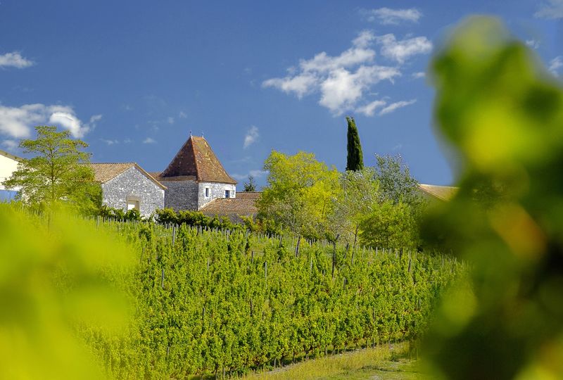 Château Tour des Gendres — photo 3